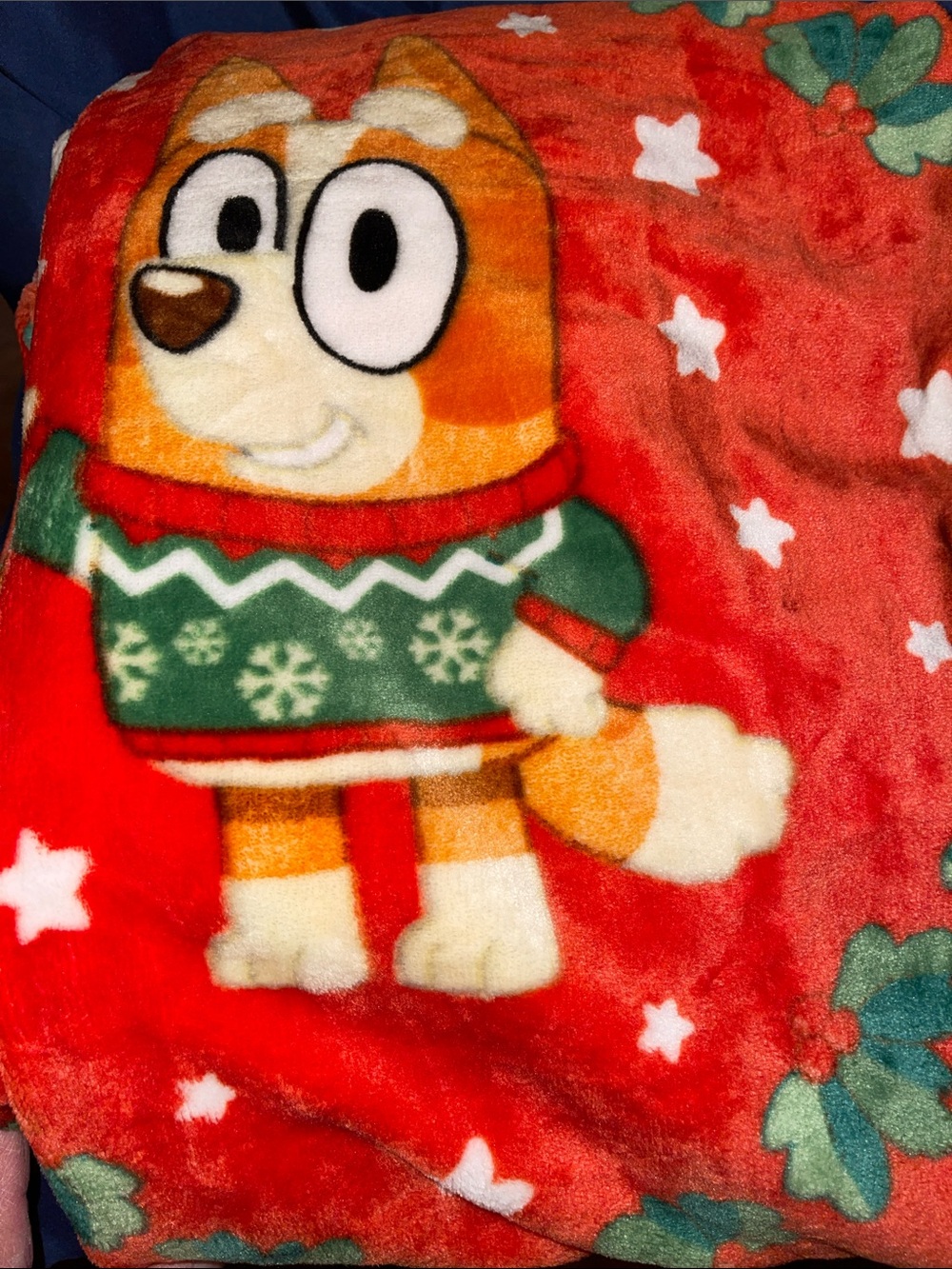 Bluey Plush Christmas Throw Blanket